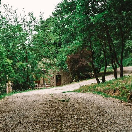 Parulia Country House Arezzo Exterior photo