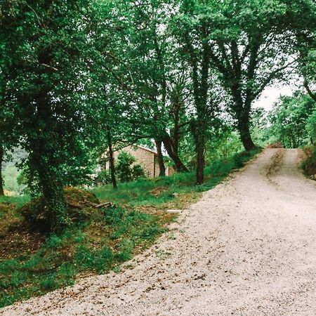 Parulia Country House Arezzo Exterior photo
