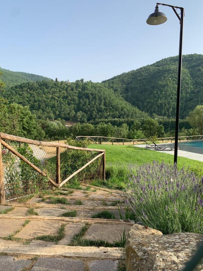 Parulia Country House Arezzo Exterior photo