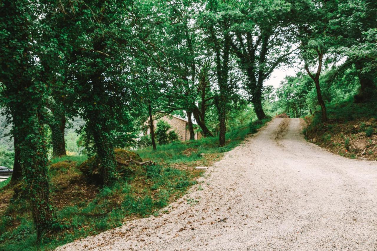 Parulia Country House Arezzo Exterior photo