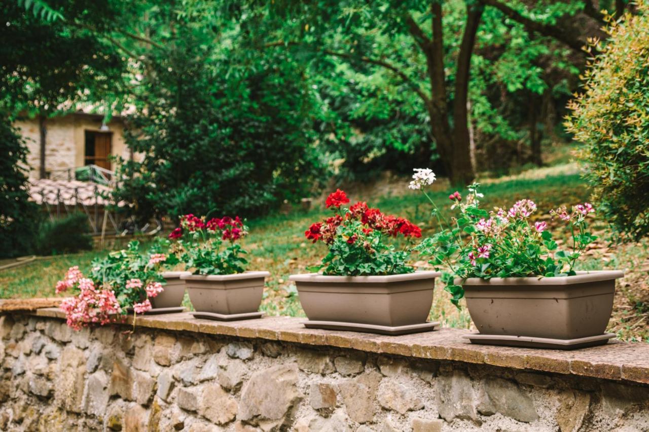 Parulia Country House Arezzo Exterior photo